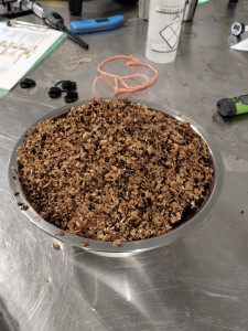 Spent Grain